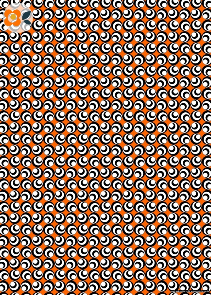 Geschenkpapier Spots, orange/schwarz